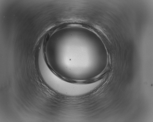 X0000076381307200610061114