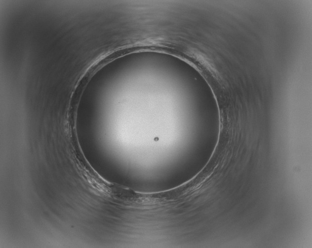 X0000076381308200610061114