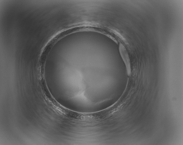 X0000076381310200610061114