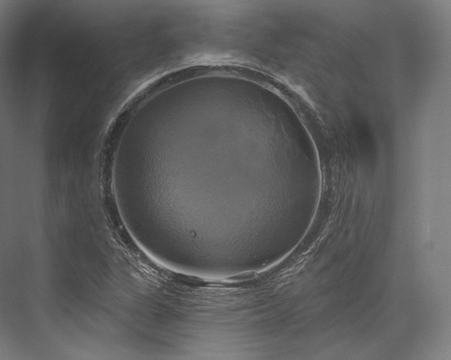 X0000076381311200610061114