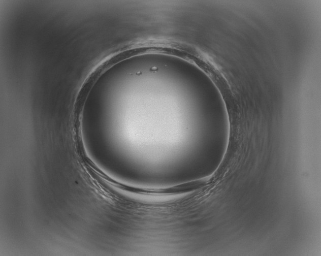 X0000076381312200610061114