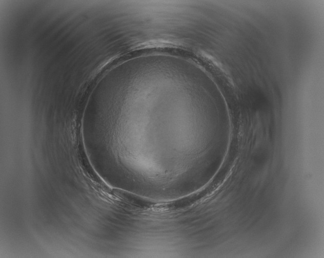 X0000076381313200610061114