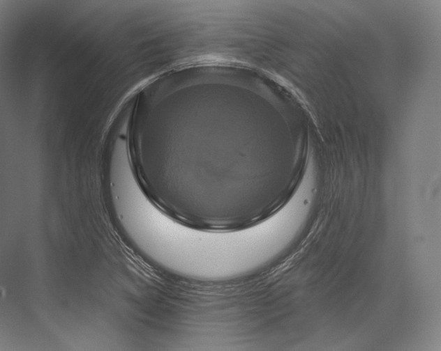 X0000076381314200610061114