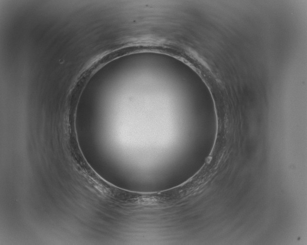 X0000076381315200610061114