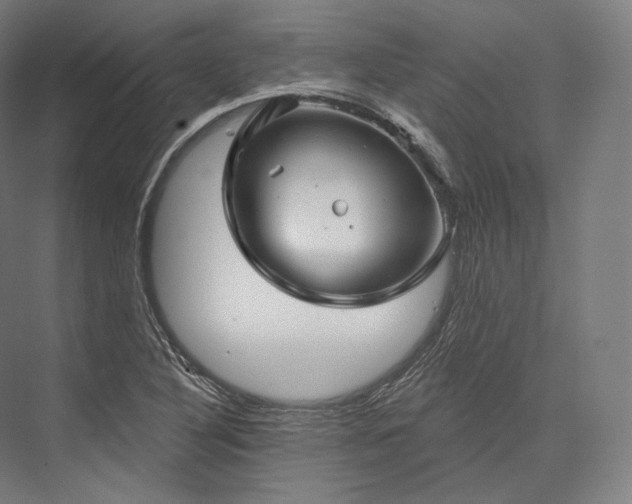 X0000076381316200610061114