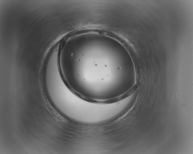 X0000076381317200610061114