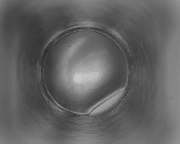 X0000076381318200610061114