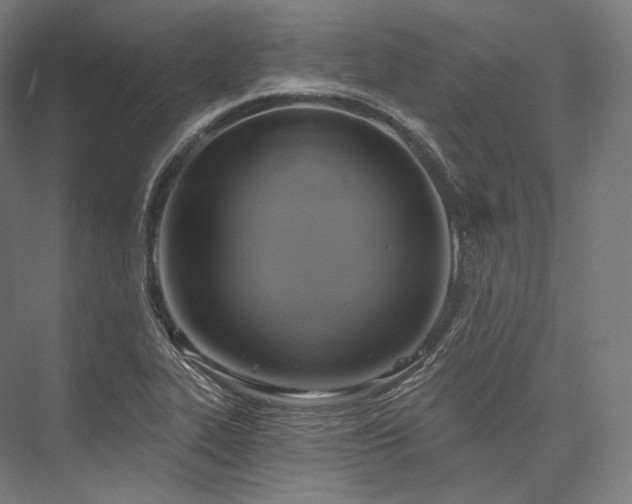 X0000076381319200610061114