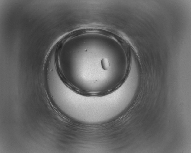 X0000076381320200610061114