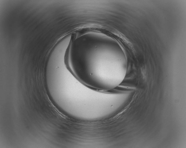 X0000076381321200610061114