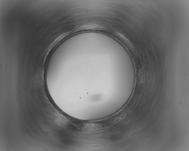 X0000076381322200610061114