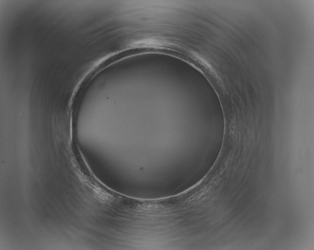 X0000076381323200610061114