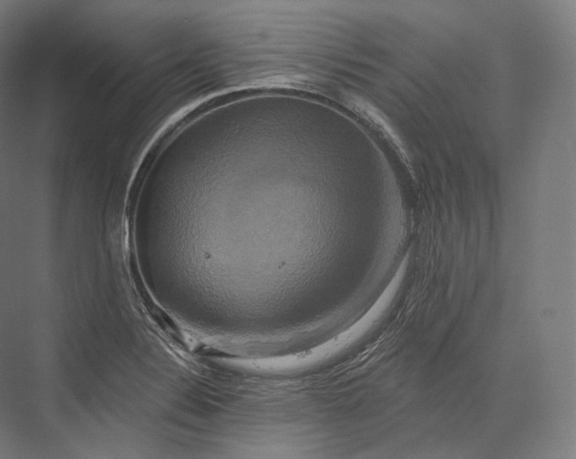 X0000076381324200610061114