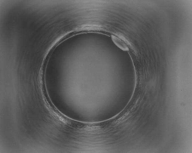 X0000076381325200610061114