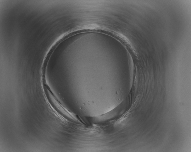 X0000076381326200610061114