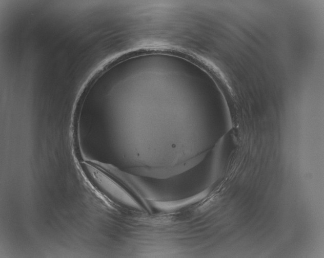 X0000076381327200610061114