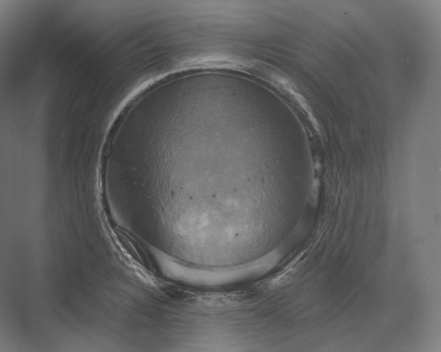 X0000076381328200610061114