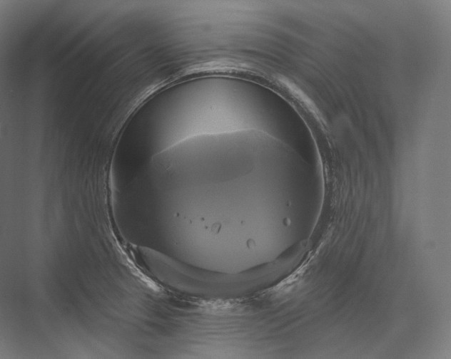 X0000076381329200610061114