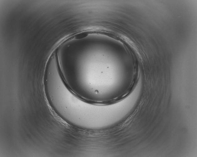 X0000076381330200610061114