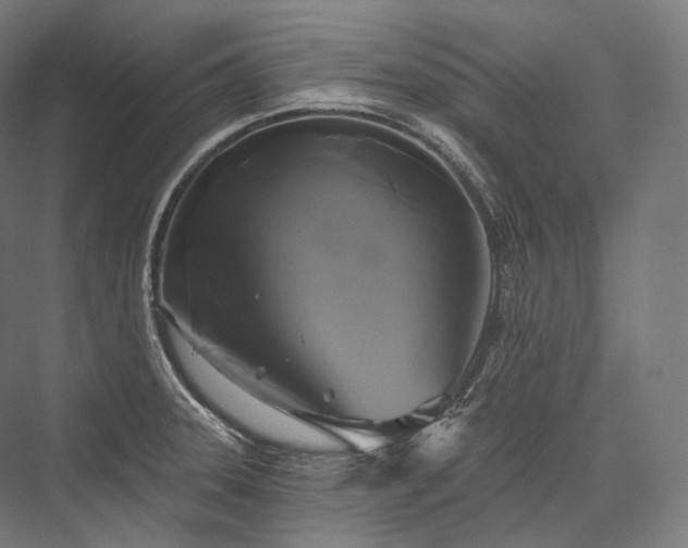 X0000076381331200610061114