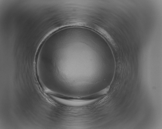 X0000076381332200610061114