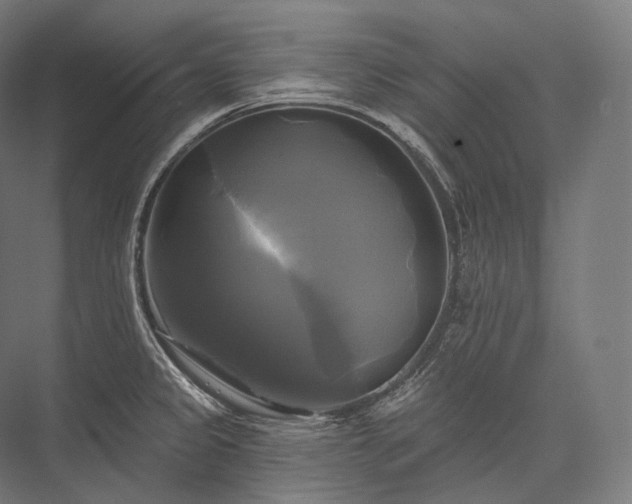 X0000076381333200610061114