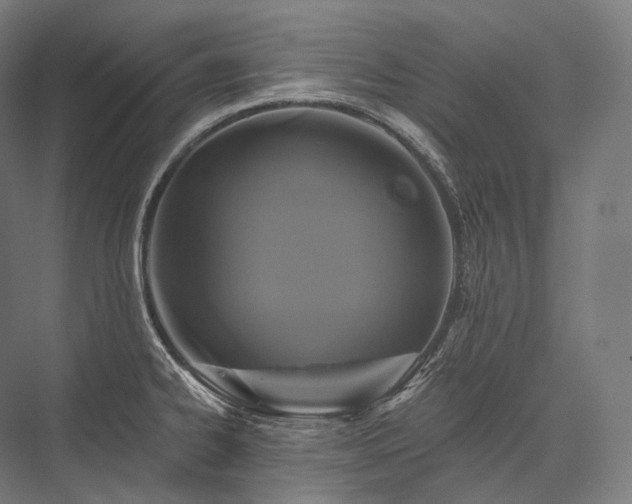 X0000076381334200610061114