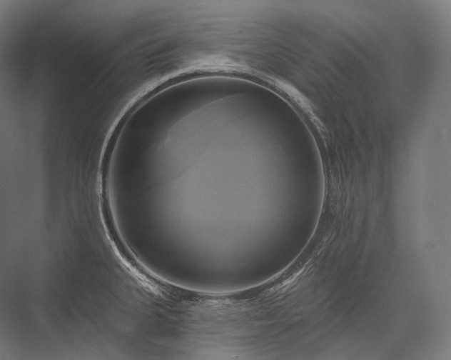 X0000076381335200610061114