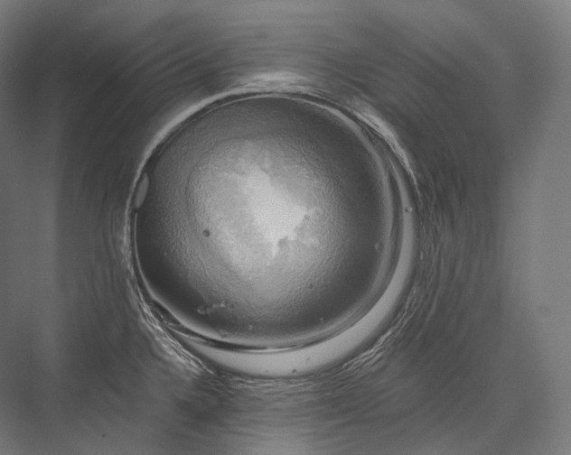 X0000076381336200610061114