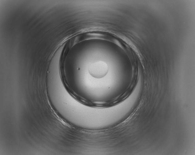 X0000076381337200610061114