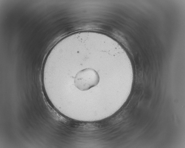 X0000076381338200610061114