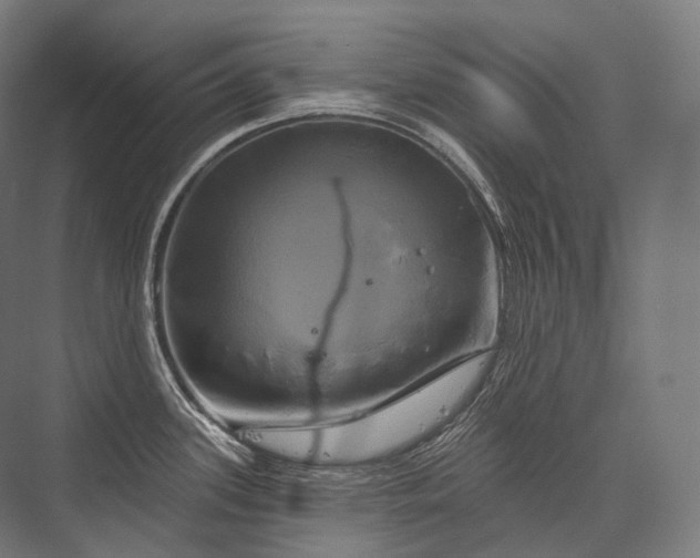 X0000076381339200610061114