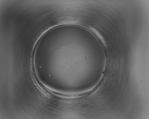 X0000076381340200610061114