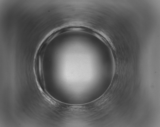 X0000076381342200610061114