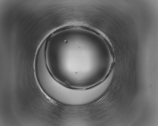 X0000076381343200610061114