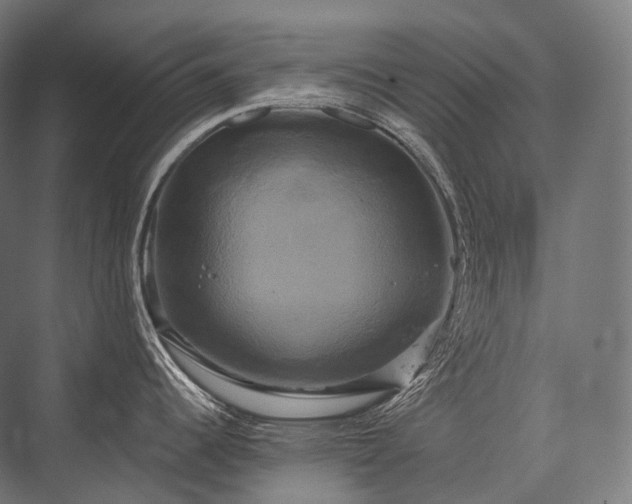 X0000076381344200610061114