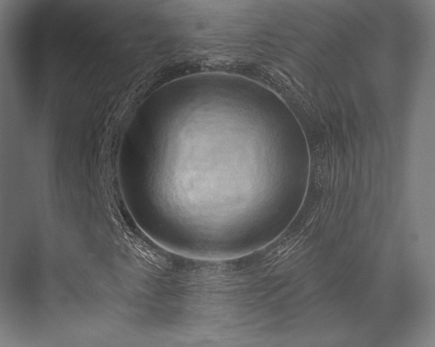 X0000076381345200610061114