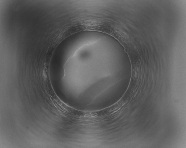 X0000076381346200610061114