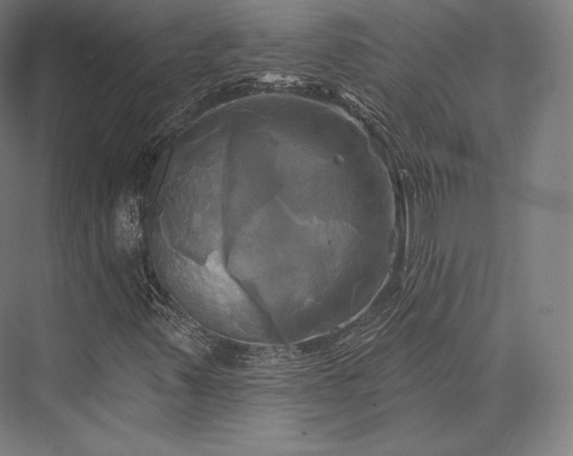 X0000076381347200610061114