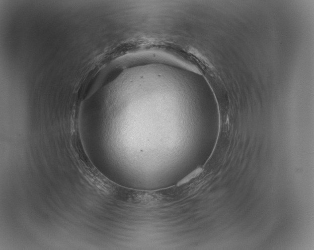 X0000076381348200610061114