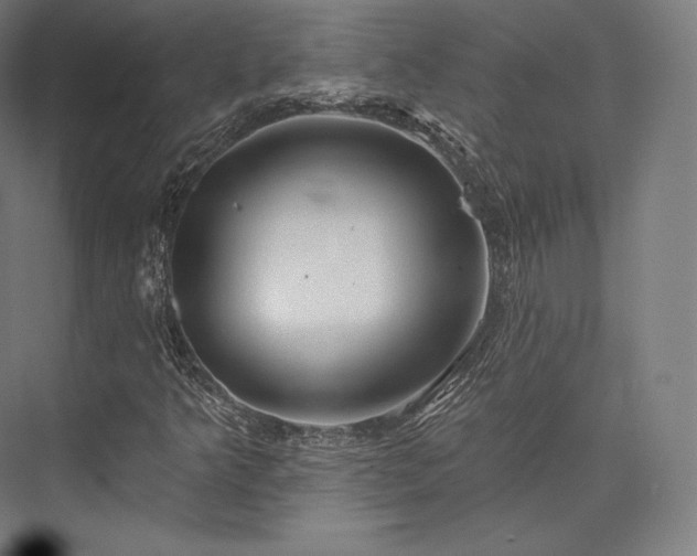 X0000076381349200610061114