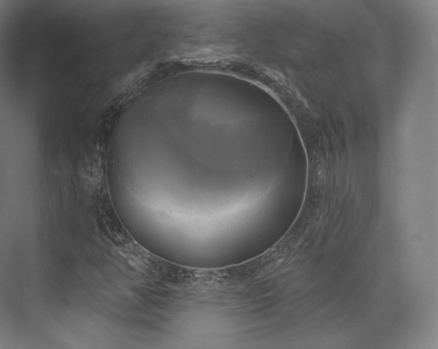 X0000076381350200610061114