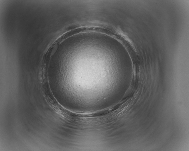 X0000076381352200610061114