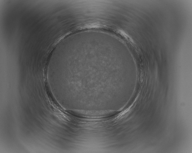 X0000076381353200610061114