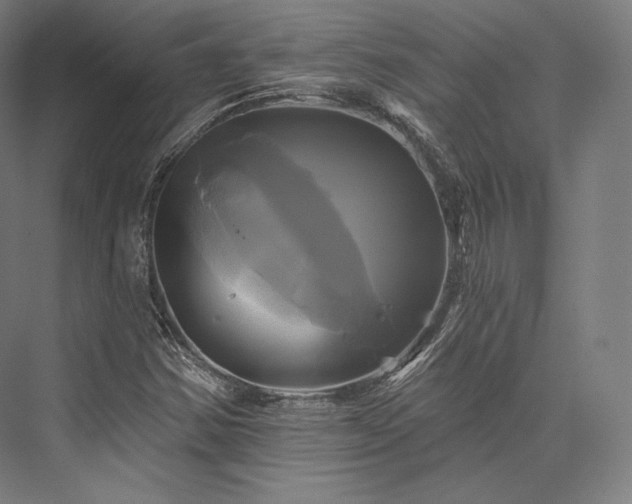 X0000076381354200610061114