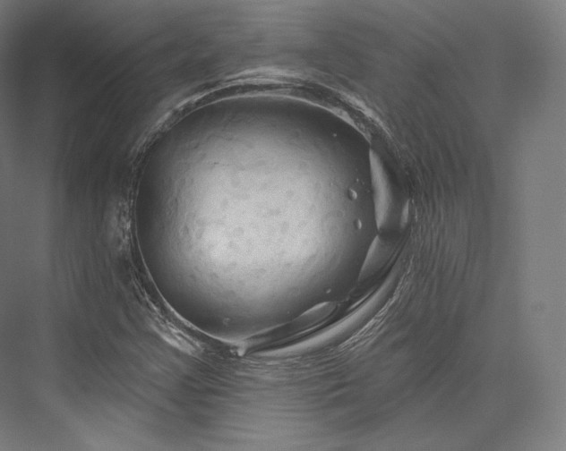 X0000076381355200610061113