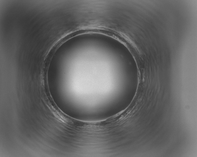 X0000076381356200610061113