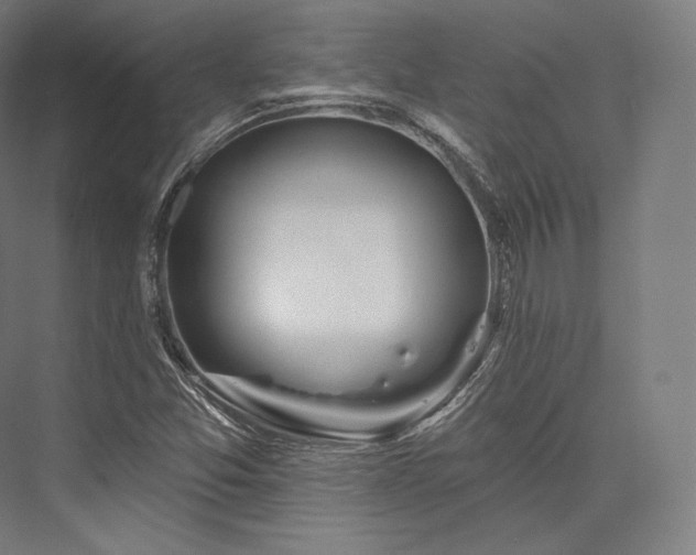 X0000076381357200610061113