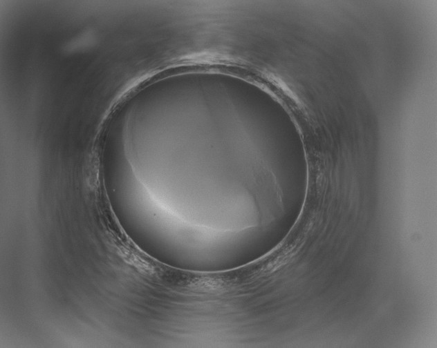 X0000076381358200610061113