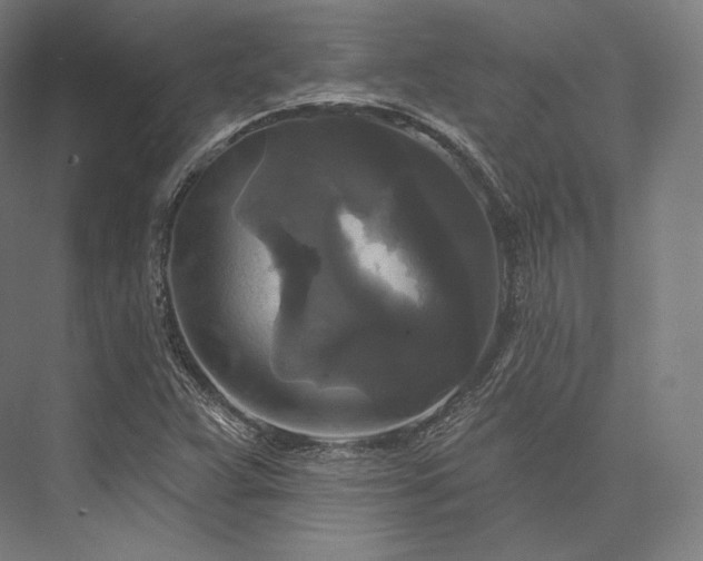 X0000076381359200610061113